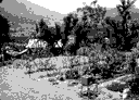 smallholder irrigation markets: image