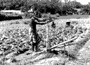 smallholder irrigation markets: image